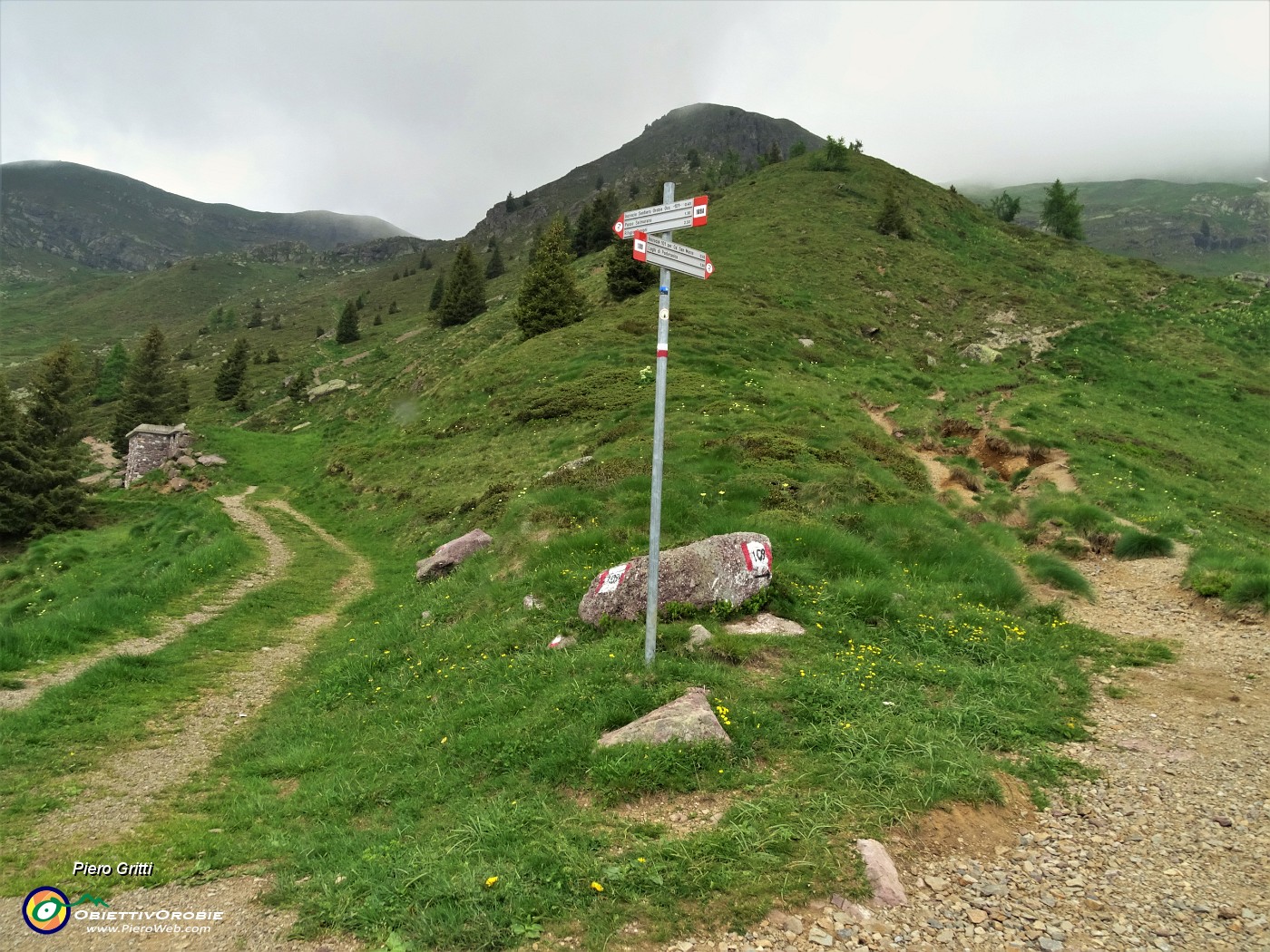 16 Salita a dx sul sent. 109, discesa a sx sul sent. 109A...un bell'anello.JPG